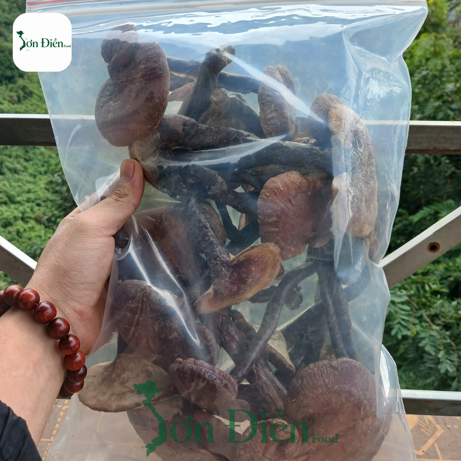 Nấm Lim Xanh Rừng ( Tai Nấm Lớn ) 1kg - Ảnh 4