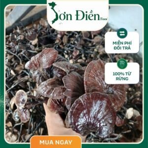 Nấm linh chi cổ cò