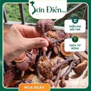 Nấm lim xanh rừng